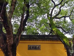 -西园戒幢律寺