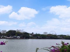 景观位-福州西湖大酒店·怡湖咖啡厅