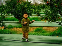 -上海长兴岛郊野公园