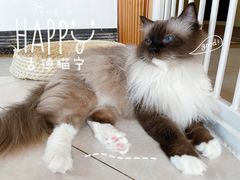 -Catmate·猫肥家润(金润铂宫店)