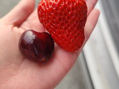 -西郊国际农产品交易中心