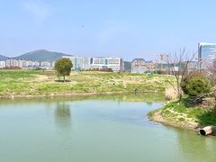 -太湖湖滨国家湿地公园-停车场