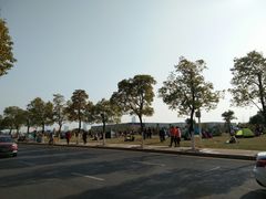 -新华书店(学府大道店)