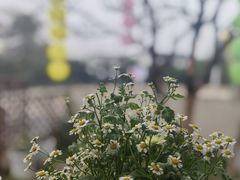 -伴山茶苑·围炉煮茶