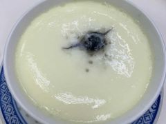 双皮奶-翠苑甜品专家(北角道店)