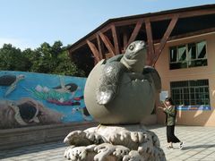 -广东惠东海龟国家级自然保护区