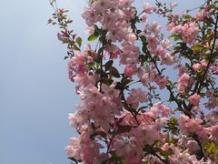 -上海科技馆(地铁站)