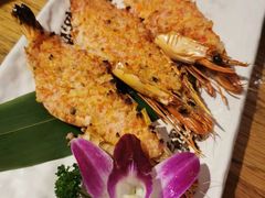 -酒井酱子·深夜食堂(东城汇店)