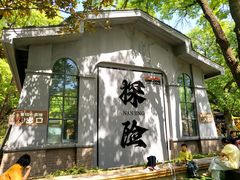 -紫金山山顶公园