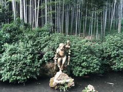 -杭州黄龙洞