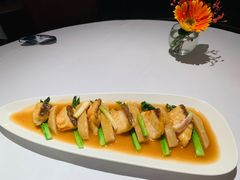 -新同乐鱼翅酒家(美丽华店)