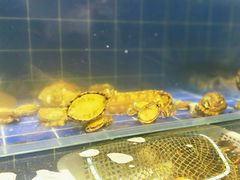 -聚百鲜海鲜烧烤私房菜(韩乐坊店)