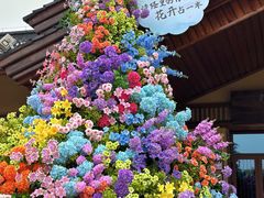 -诗经里