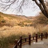 现在植物园南门和东南门早上7:00开门