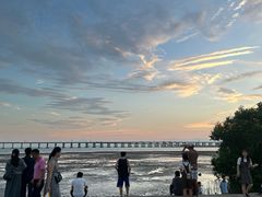 -宝安西湾红树林湿地公园