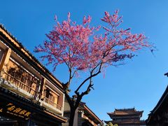 -大理洱海