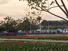 -盈香心动乐园