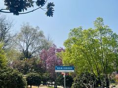 -青岛鑫江温德姆酒店