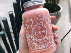 -野萃山·潮汕厚果汁(十亩地店)
