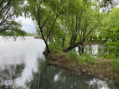 -长兴太湖图影湿地文化园