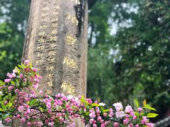 -凤栖山
