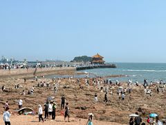 -富临港·蒸汽海鲜·手抓海鲜·炒菜(栈桥店)