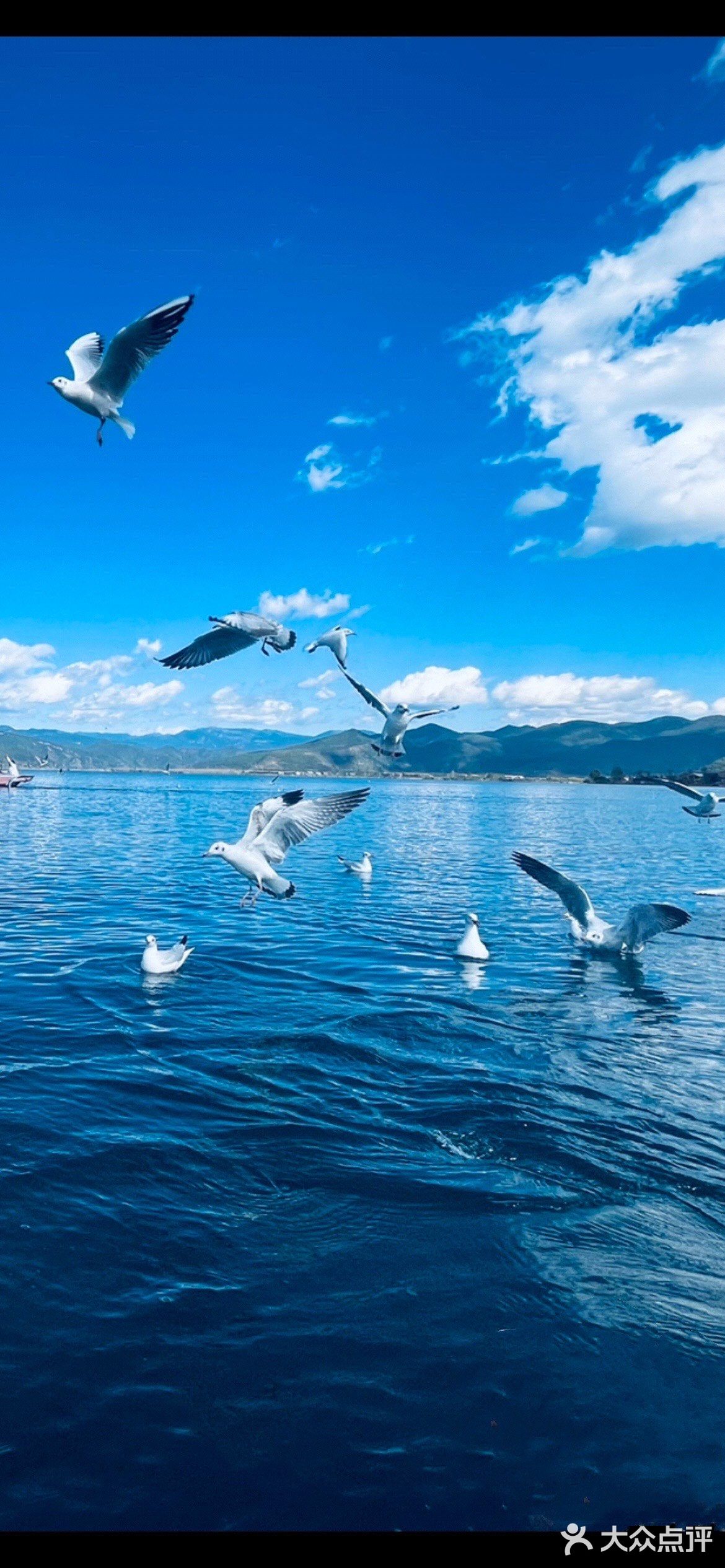 泸沽湖最美图片