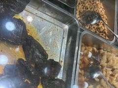 -乔波食品(杜桥中心菜场店)