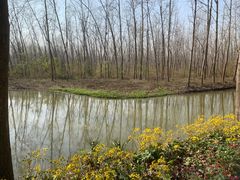 -合肥滨湖国家森林公园