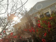 -天津五大道文化旅游区