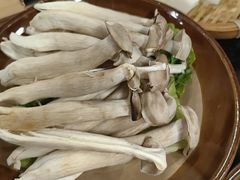 -阿山卓·野生菌火锅·纳西火塘烤肉