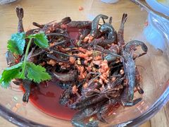 -品鲜村农家菜·阳澄湖大闸蟹(总店)