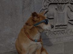 -味庄·家宴(金海四路店)