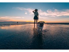 -南汇嘴观海公园