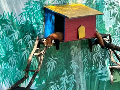 -西霞口神雕山野生动物世界