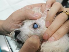 -天津前进宠物医院(前进道店)