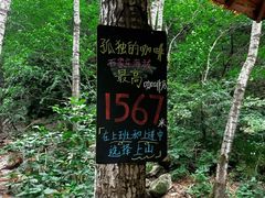 -驼梁风景区