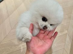 -成都银泰中心in99