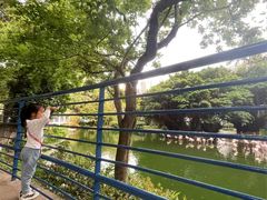 -九龙公园