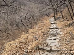 -阳台山自然风景区