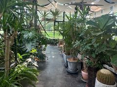 -北马山庄植趣咖啡