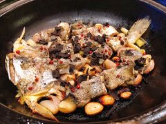 黑松露生焗东极生态大黄鱼-宁波柏悦酒店·钱湖渔港