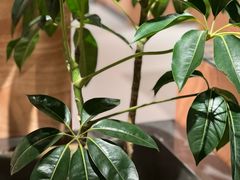 -亨得利(滨江道店)