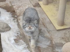 -青藏高原野生动物园
