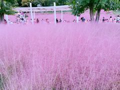 -牛岗山公园