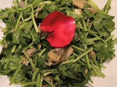 -海派美食·家宴海鲜青岛菜·石锅鲽鱼头(东方城店)