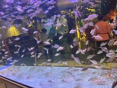 -木子塘汗蒸生活馆(财富港店)