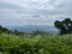 -广州市帽峰山景区