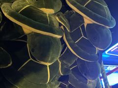 -VS SPORTS PARK运动玩乐园·团建·生日会(合生汇店)