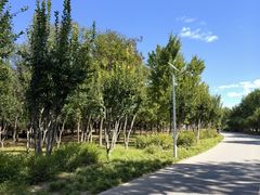 -永定河休闲森林公园